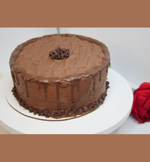 Chocolate-Chocolate Cake